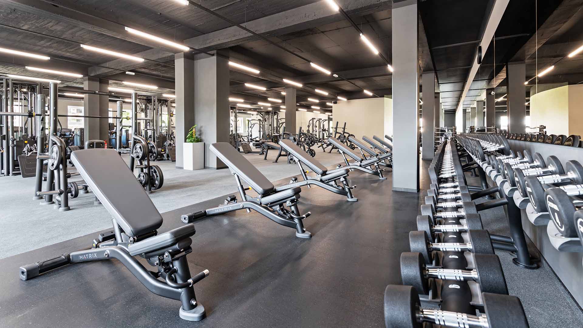 gym equipment