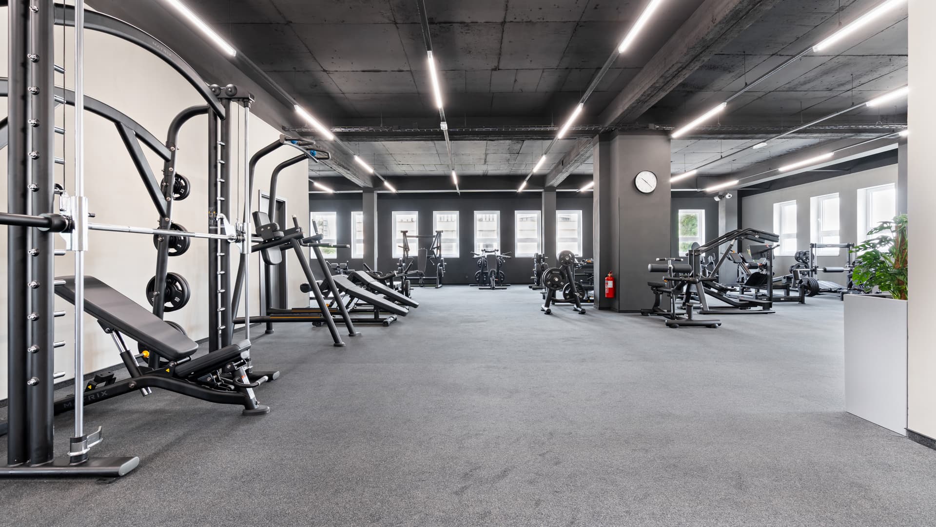 gym equipment