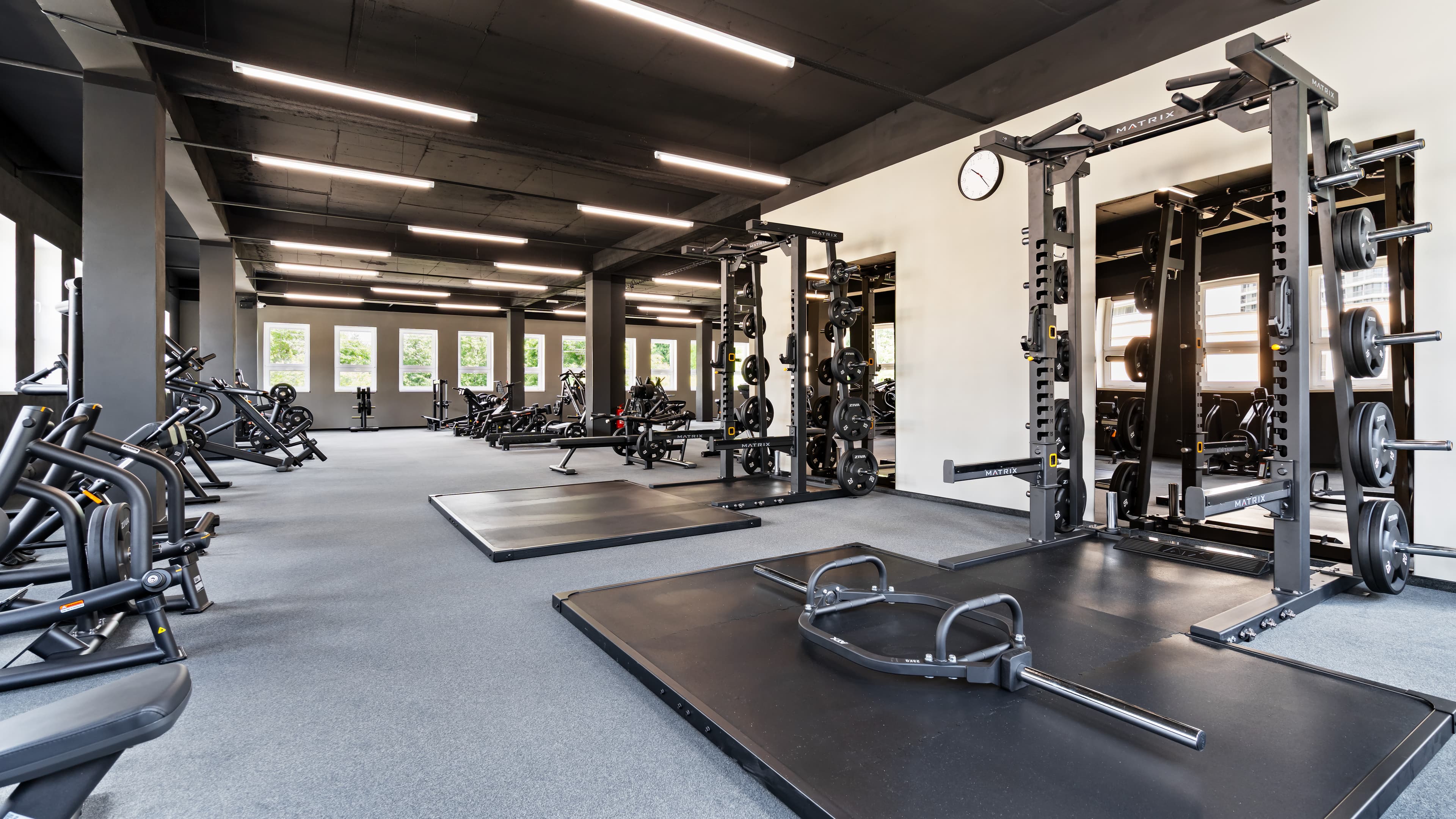 gym equipment