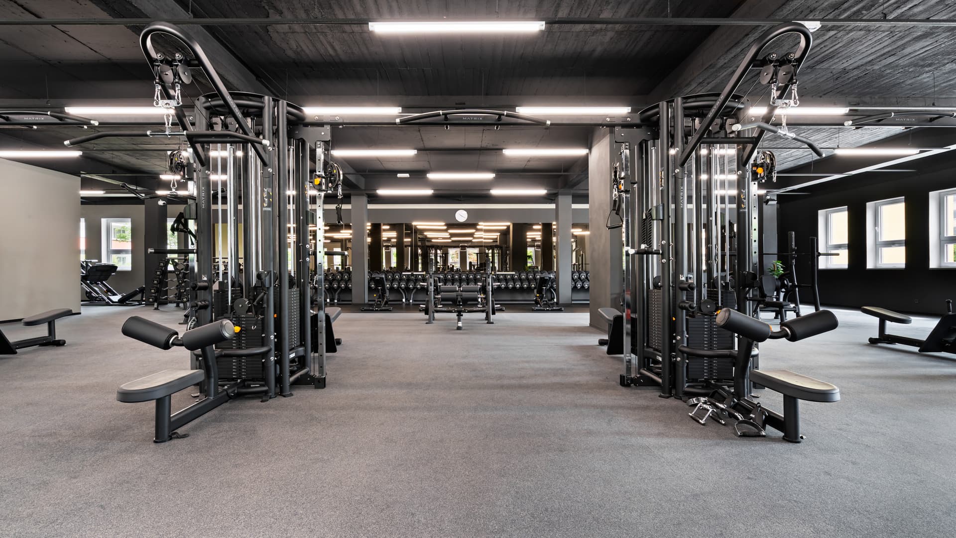 gym equipment