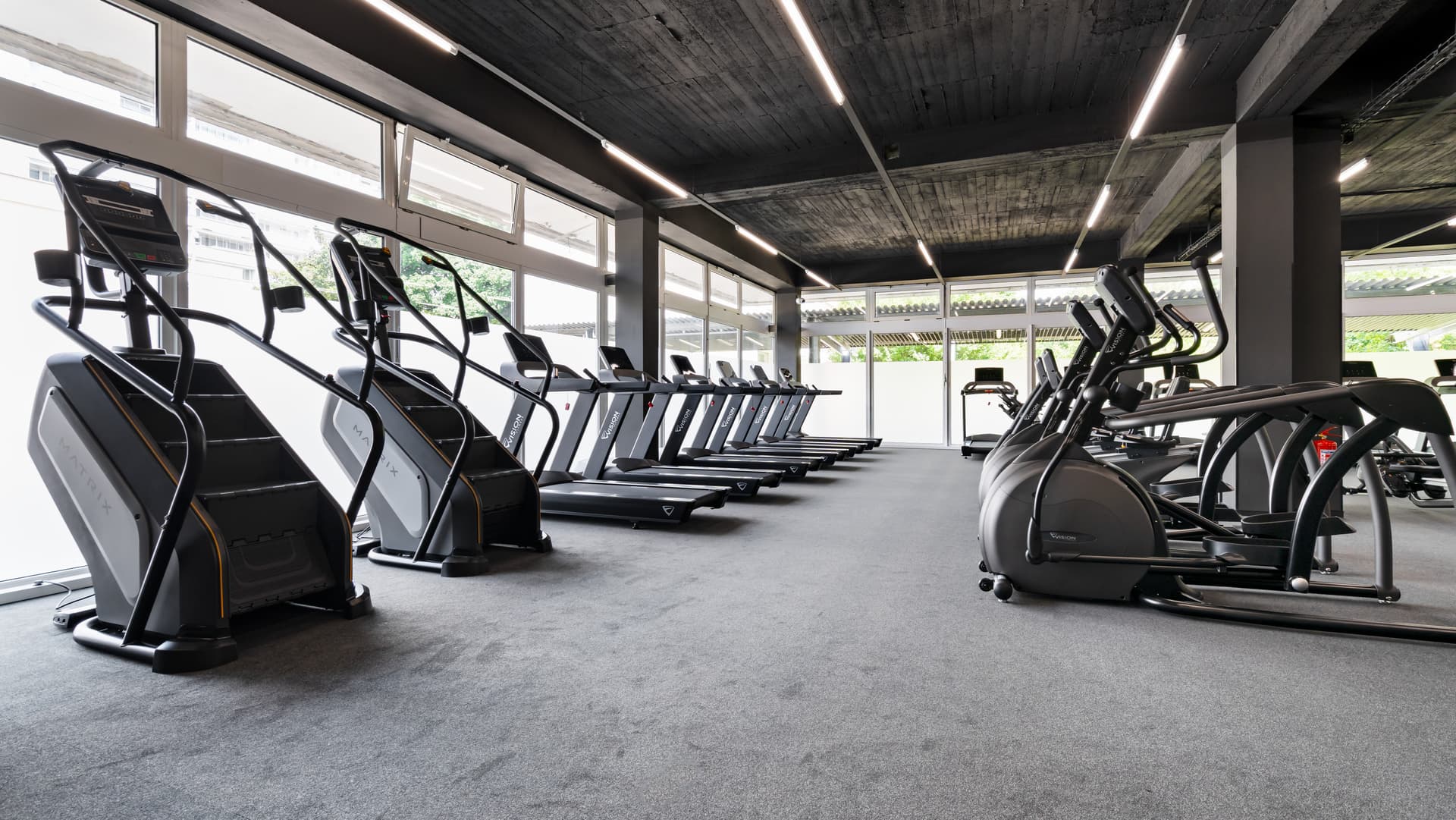 gym equipment