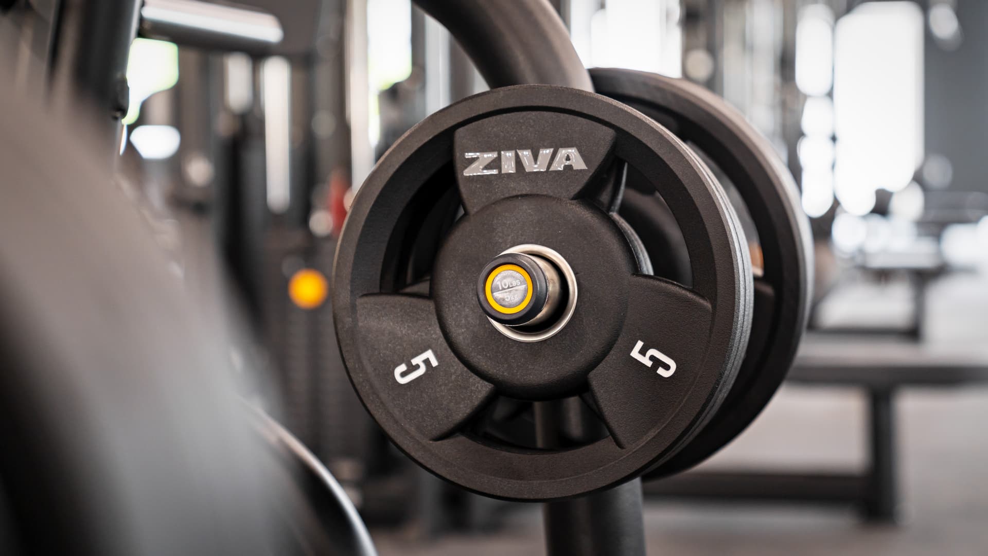gym equipment