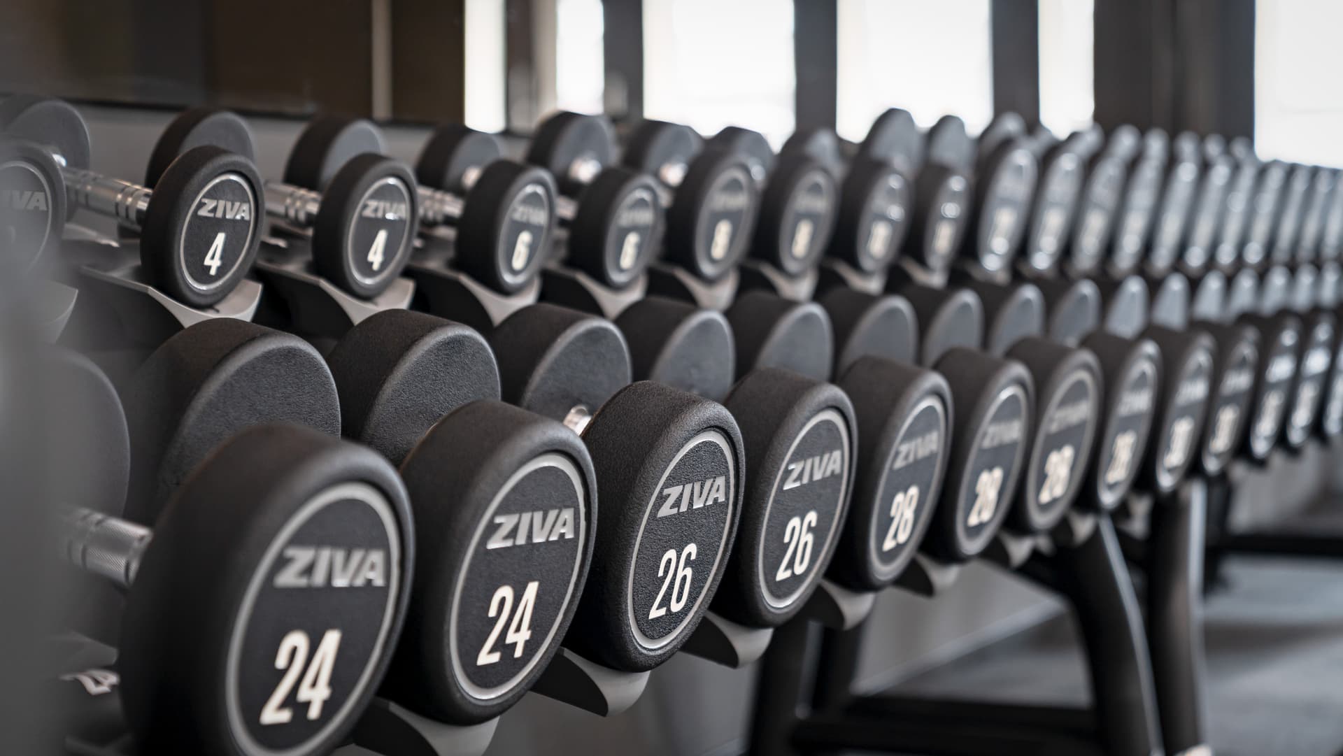 gym equipment