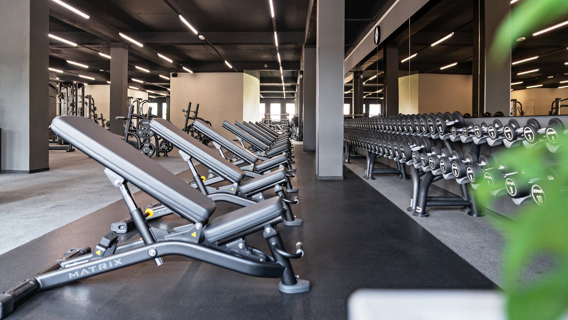 gym equipment